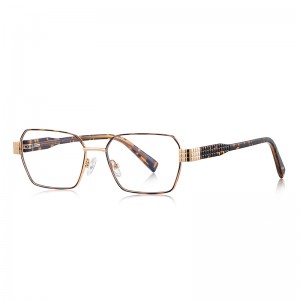 RUISEN’S Strip Temple Double Frame Metal Eyeglasses 3161