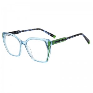 RUISEN’S 2025 New Trendy Cat-Eye Optical Glasses  Lightweight & Prescription-Ready Cross-Border Hot Seller RD25008