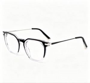 RUISEN’S Fashion acetate stylish metal temple eyewear 8010
