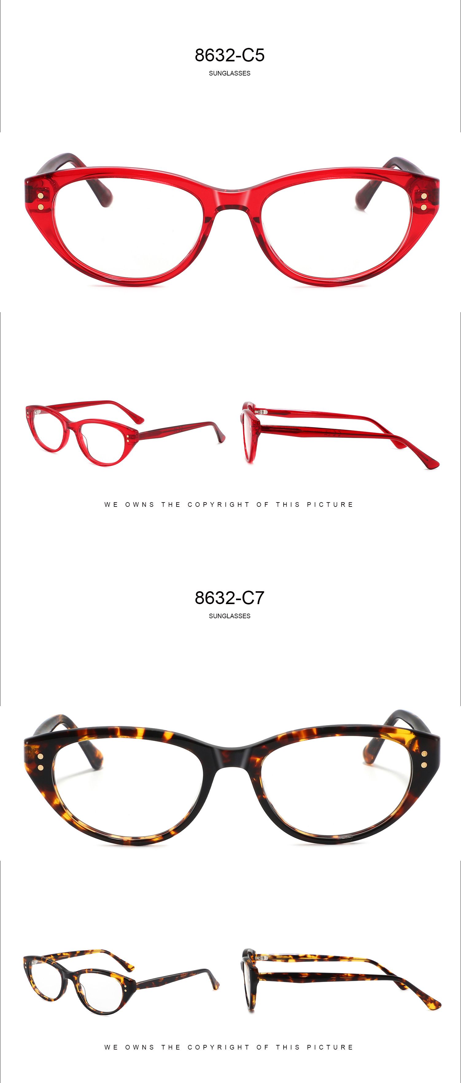 Cat Eye Glasses Street Commuter Eyewear Casual Urban Frames Daily Wear 8632