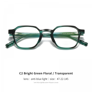 RUISEN’S NEW Wholesale Trendy Acetate Frames Anti-Blue Light & Retro Style F22241