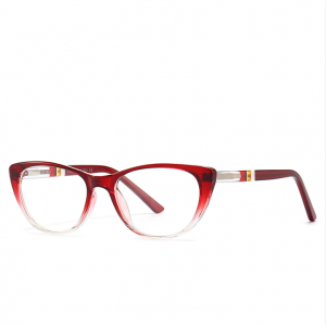 RUISEN’S Fashion Anti-blue Light Acetate Frames for Women 6004