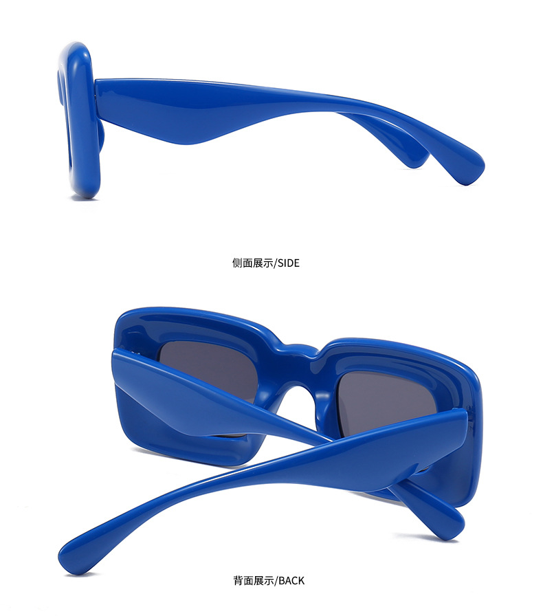Thick Frame Plastic Sunglasses   86629-6