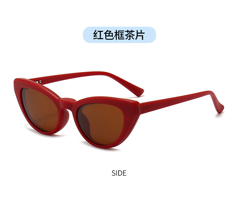 RUISENS'S TR90 Outdoor Sunglasses Clip For Men And Women 2351d