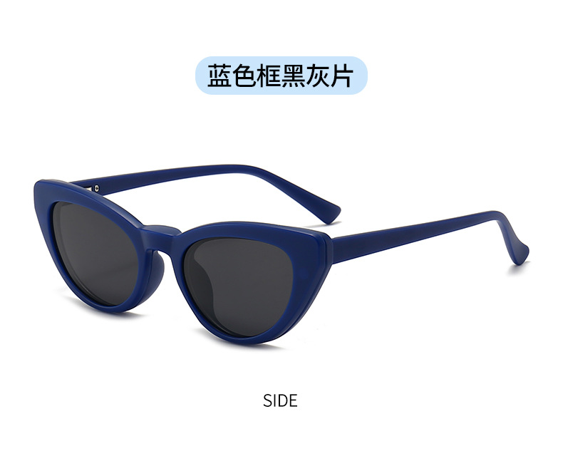 RUISENS'S TR90 Outdoor Sunglasses Clip For Men And Women 2351d