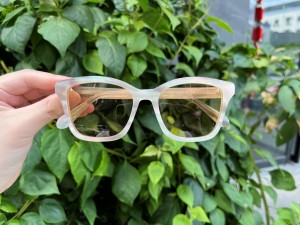 RUISEN’S Retro Square Premium Acetate Fashion Eyewear AT8021