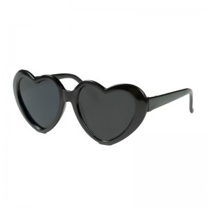 RUISEN’S Dog And Cat Glasses Windproof Sandproof RS-216