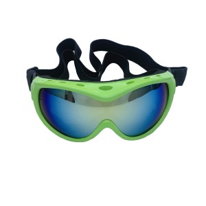 RUISEN’S Waterproof Windproof  Big Dog Sunglasses Goggles RS-202