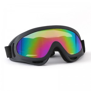 RUISEN’S Dog’s Glasses Windproof Sandproof RS-255