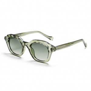 RUISEN’S Trendy Retro Polarizer Personalized Sunglasses 2555